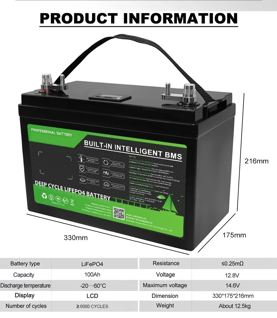 Batteria Accumulo LiFePo4 12V 100Ah per Camper Motore Nautica Fotovoltaico Con BMS - immagine 2