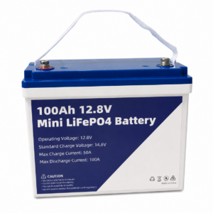 Batteria Accumulo Mini LiFePo4 12V 100Ah per Camper Motore Nautica Fotovoltaico Con BMS